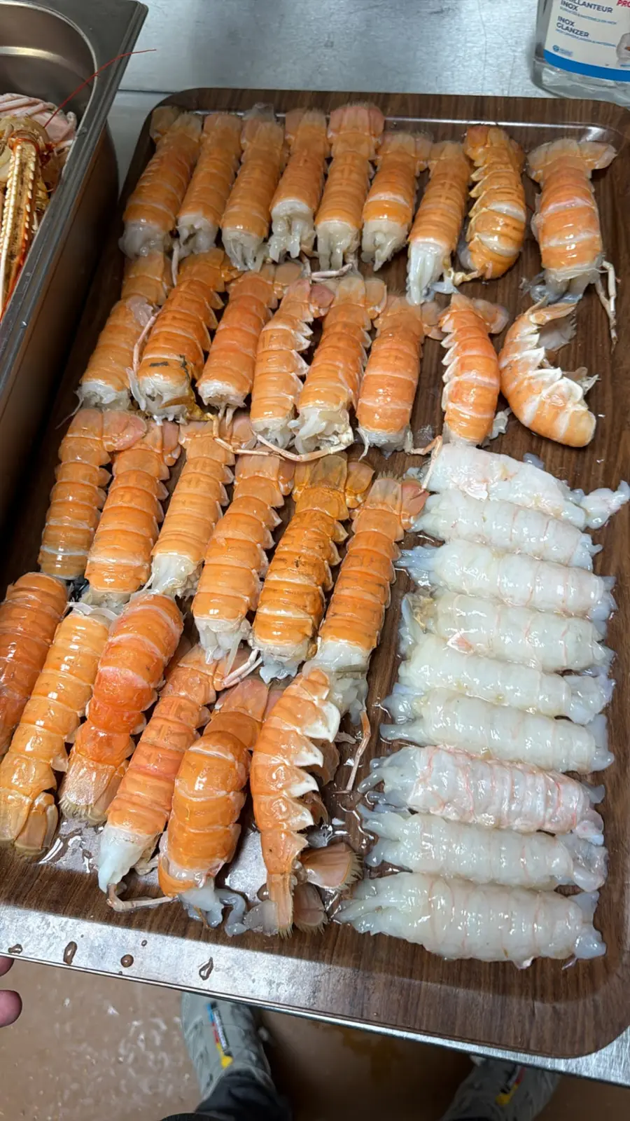 Rijen verse langoustines in de keuken